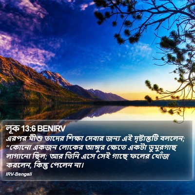 লূক 13:6 BENIRV Bible Verse Image