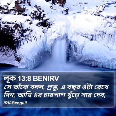 লূক 13:8 BENIRV Bible Verse Image