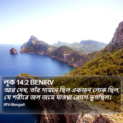 লূক 14:2 BENIRV Bible Verse Image