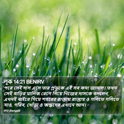লূক 14:21 BENIRV Bible Verse Image