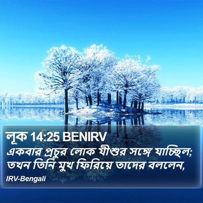 লূক 14:25 BENIRV Bible Verse Image
