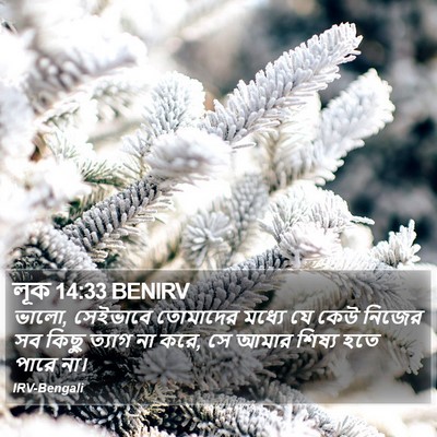 লূক 14:33 BENIRV Bible Verse Image