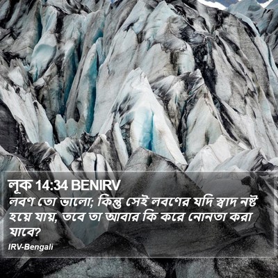 লূক 14:34 BENIRV Bible Verse Image
