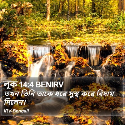 লূক 14:4 BENIRV Bible Verse Image