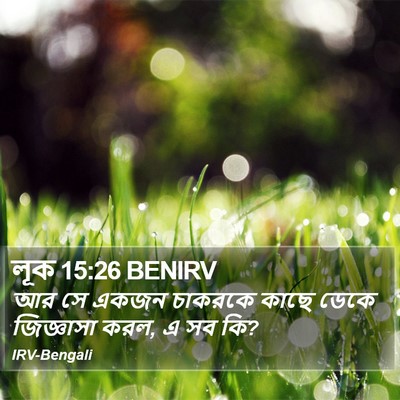 লূক 15:26 BENIRV Bible Verse Image