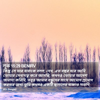 লূক 15:29 BENIRV Bible Verse Image