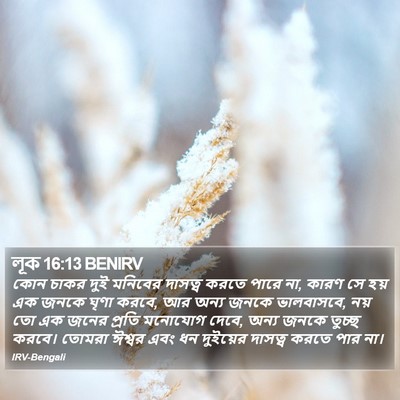 লূক 16:13 BENIRV Bible Verse Image