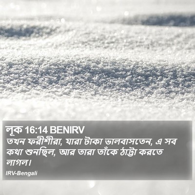 লূক 16:14 BENIRV Bible Verse Image