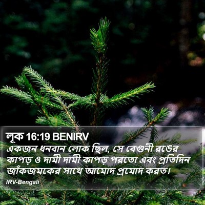 লূক 16:19 BENIRV Bible Verse Image