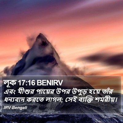 লূক 17:16 BENIRV Bible Verse Image