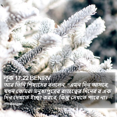 লূক 17:22 BENIRV Bible Verse Image