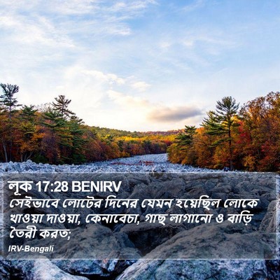 লূক 17:28 BENIRV Bible Verse Image