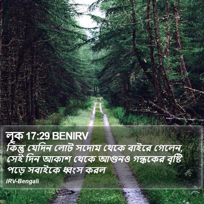 লূক 17:29 BENIRV Bible Verse Image
