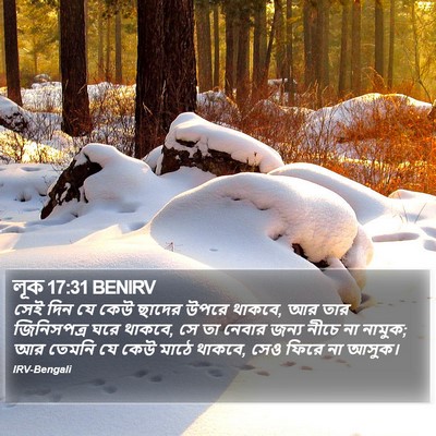 লূক 17:31 BENIRV Bible Verse Image