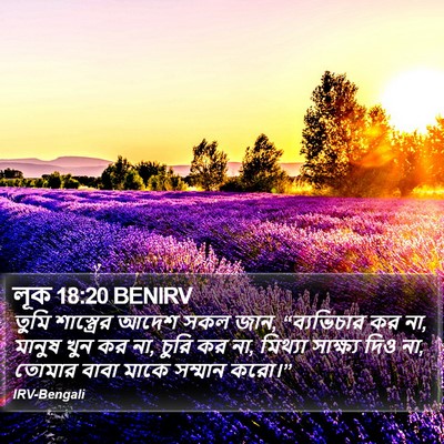 লূক 18:20 BENIRV Bible Verse Image