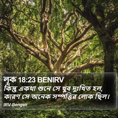 লূক 18:23 BENIRV Bible Verse Image