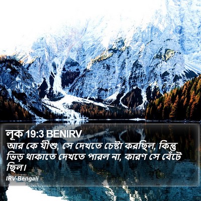 লূক 19:3 BENIRV Bible Verse Image