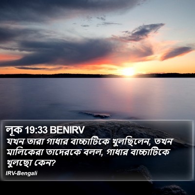 লূক 19:33 BENIRV Bible Verse Image