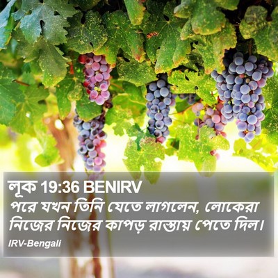 লূক 19:36 BENIRV Bible Verse Image