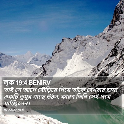 লূক 19:4 BENIRV Bible Verse Image