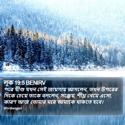 লূক 19:5 BENIRV Bible Verse Image