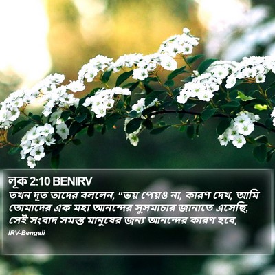 লূক 2:10 BENIRV Bible Verse Image