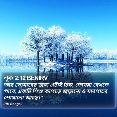 লূক 2:12 BENIRV Bible Verse Image