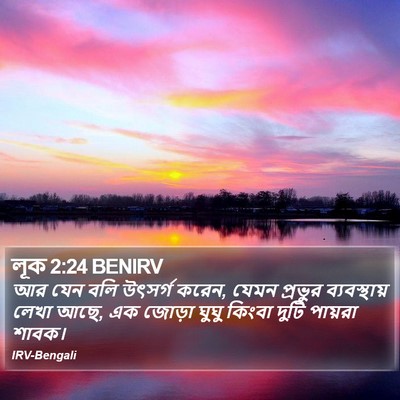লূক 2:24 BENIRV Bible Verse Image
