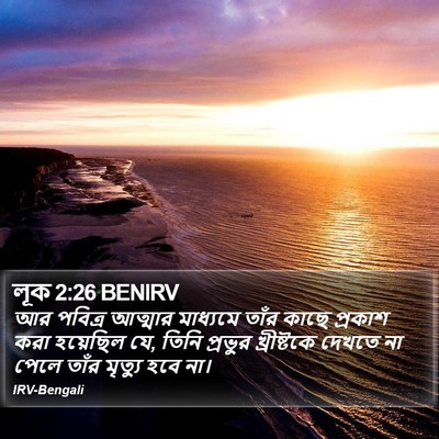 লূক 2:26 BENIRV Bible Verse Image