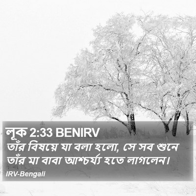 লূক 2:33 BENIRV Bible Verse Image