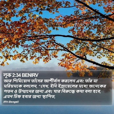 লূক 2:34 BENIRV Bible Verse Image