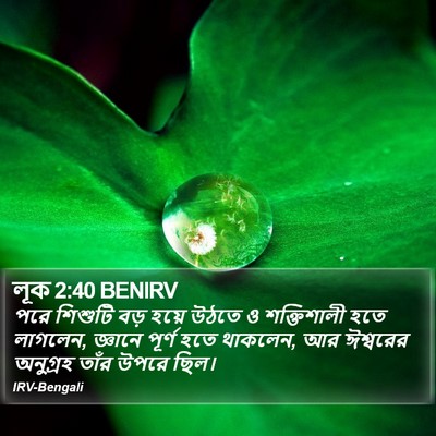 লূক 2:40 BENIRV Bible Verse Image