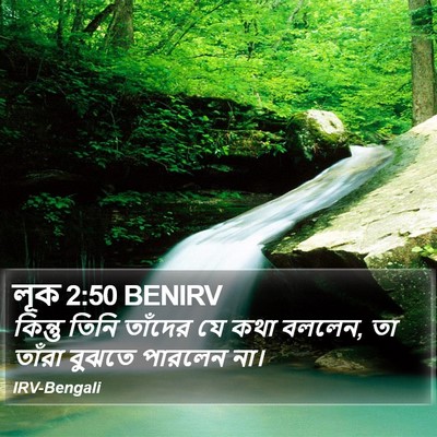 লূক 2:50 BENIRV Bible Verse Image