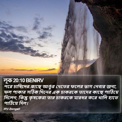 লূক 20:10 BENIRV Bible Verse Image
