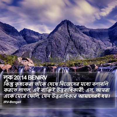 লূক 20:14 BENIRV Bible Verse Image