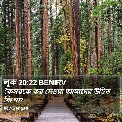 লূক 20:22 BENIRV Bible Verse Image