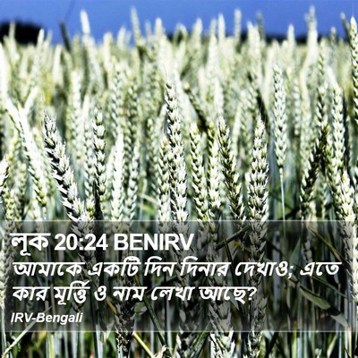 লূক 20:24 BENIRV Bible Verse Image
