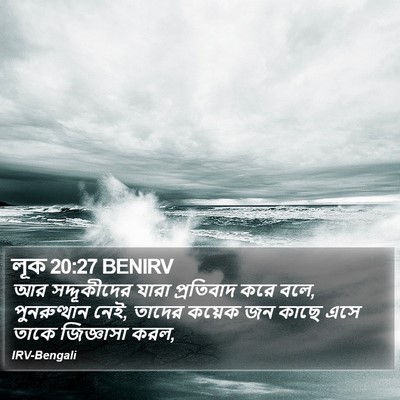 লূক 20:27 BENIRV Bible Verse Image