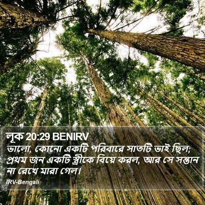 লূক 20:29 BENIRV Bible Verse Image