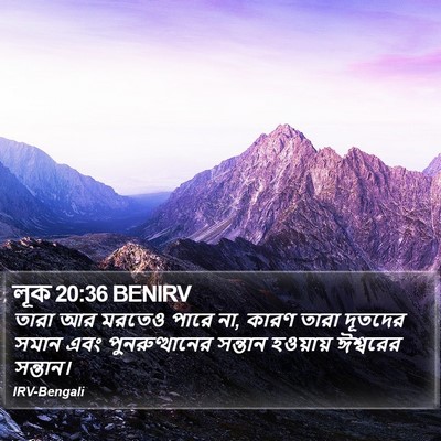 লূক 20:36 BENIRV Bible Verse Image