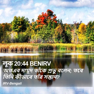 লূক 20:44 BENIRV Bible Verse Image