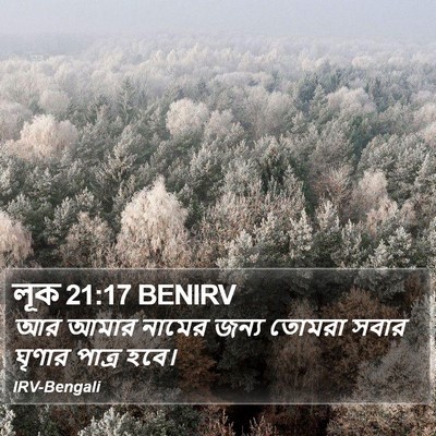 লূক 21:17 BENIRV Bible Verse Image