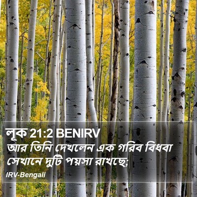 লূক 21:2 BENIRV Bible Verse Image