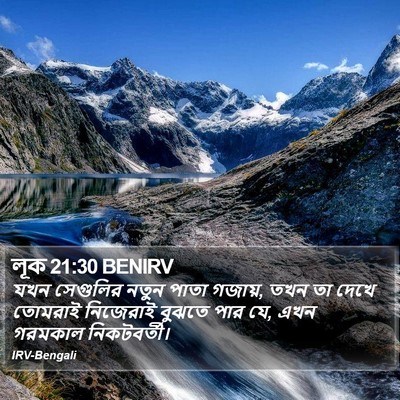 লূক 21:30 BENIRV Bible Verse Image
