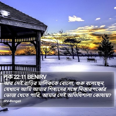 লূক 22:11 BENIRV Bible Verse Image