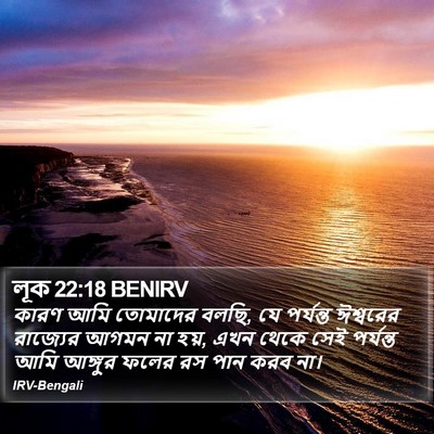 লূক 22:18 BENIRV Bible Verse Image