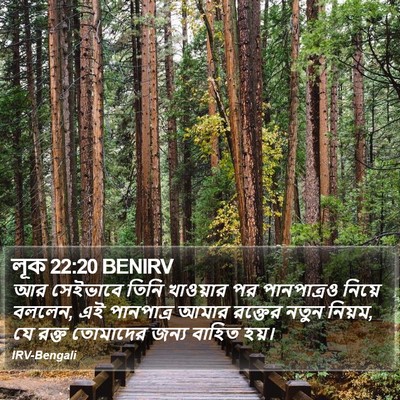 লূক 22:20 BENIRV Bible Verse Image