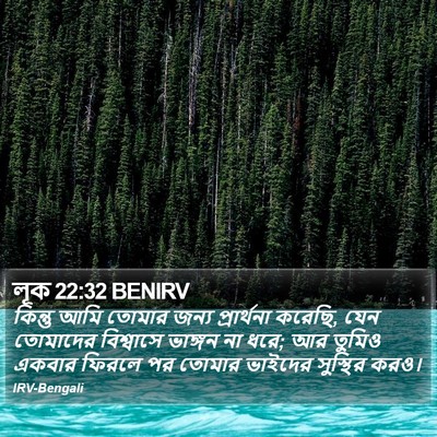 লূক 22:32 BENIRV Bible Verse Image