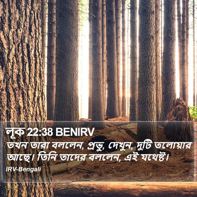 লূক 22:38 BENIRV Bible Verse Image