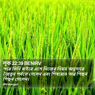 লূক 22:39 BENIRV Bible Verse Image